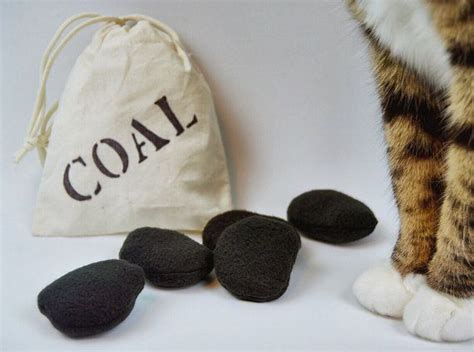 coil cat toys|bag of coal catnip toy.